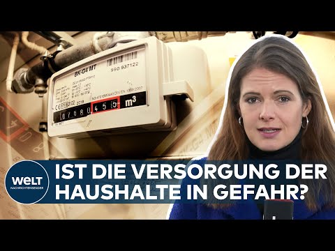 NOTFALLPLAN GAS: WAS bedeutet die Ausrufung der Frühwarnstufe durch Robert Habeck? | WELT Thema