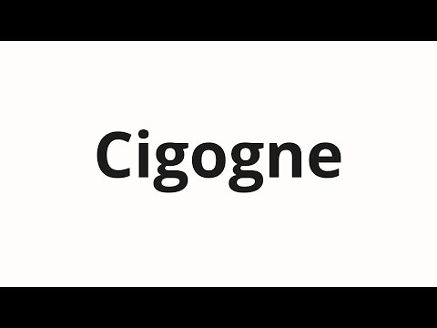 How to pronounce Cigogne