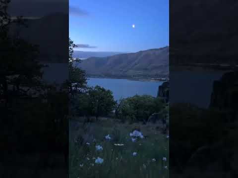 #follower #nature #subscribe #reelsvideo