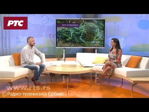 Ruzmarin – biljni eliksir mladosti, čuva naše pamćenje i otklanja bolove