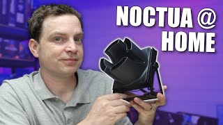 Noctua's home range is well... pretty cool!