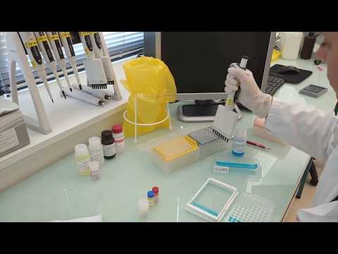 IDvet tutorial: How to perform an ELISA test (protocol for poultry testing)
