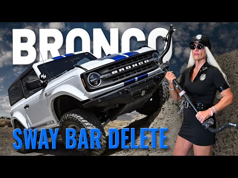 Bronco Swaybar: Disconnect or DELETE?