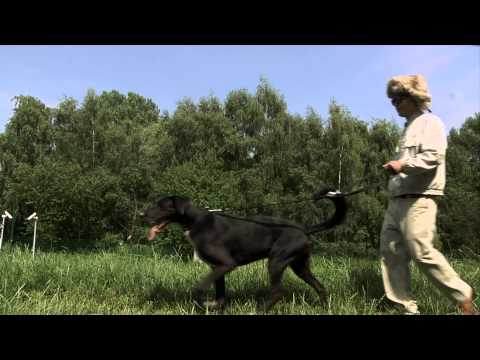 Kim Jong Lil´ listening to things - Pierre Sonality - Magdeburg Trilogie Folge 5