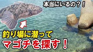 マゴチだらけのポイントなのになぜ釣れない！？潜って確認してみたら原因はコレか？