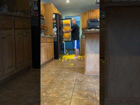 Filling My Parents Kitchen With Rubber Ducks!