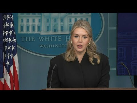 Video | Trump 'extremely frustrated' with both Kyiv, Moscow over war: spokeswoman | AFP