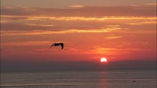 Loving Arms - Kris Kristofferson, Rita Coolidge