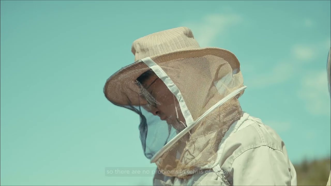 Зөгийн аж ахуй