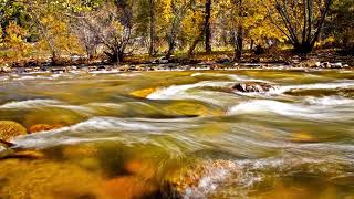 musica para relaxar com o som do piano para estudar , dormir e acalmar a mente
