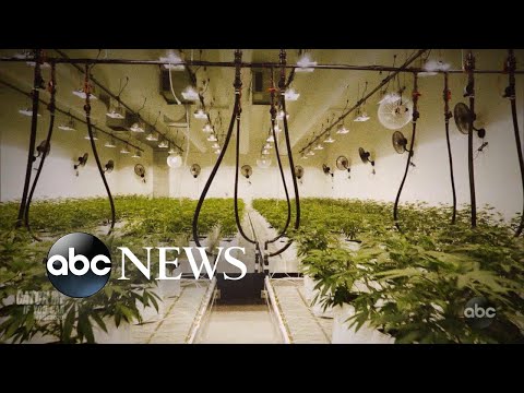 Catch Me If You Can l 20/20 l PART 1