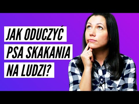 How to solve the problem of a DOG JUMPING UP ON PEOPLE