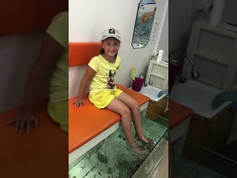 Little girl laughs hysterically when woman places her feet in the water with tiny fish!