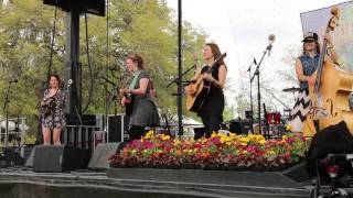 Della Mae - Turtle Dove