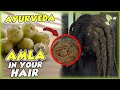The Many Benefits Of AMLA For Your Hair Science And Recipe