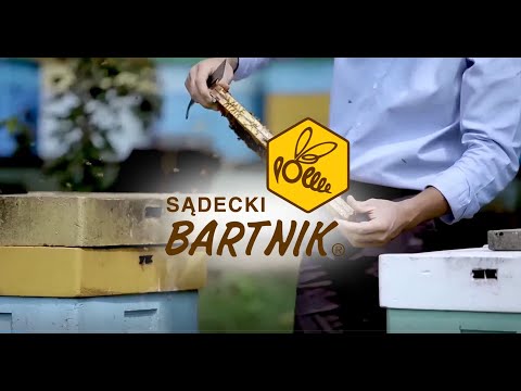 Bartnik (english)