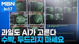 수박 익었나? '똑똑' 두드리지 마세요. AI가 골라 드립니다 [MBN 뉴스7]