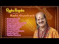 Raghu Nayaka  - Kadri Gopalnath Saxophone | Classical Instrumental - INRECO Carnatic Songs Raghu Nayaka  - Kadri Gopalnath Saxophone | Classical Instrumental