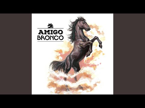 Amigo Bronco
