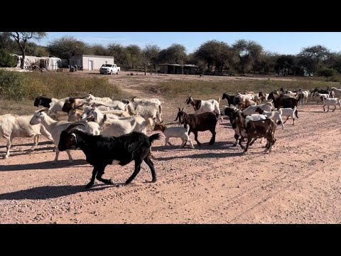 LOS PUEBLOS DE Santiago del Estero 🌎 Otumpa, Aerolito, Alhuampa, Miraval, Haase y Tintina