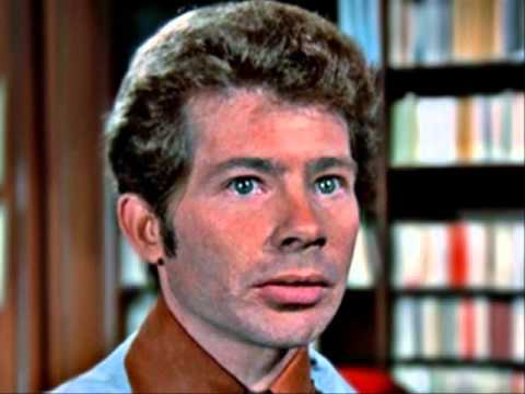 Lou Wagner who played  mechanic Harlan Arliss in chips