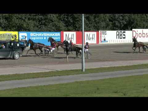 Go ! Go ! Go ! 'Pieter' !!!