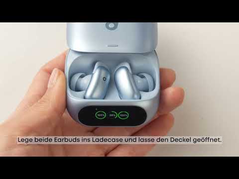 Wie werden die Earbuds gekoppelt und zurückgesetzt?