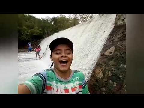 Um brinde Dennis DJ Marília Mendonça Maiara e Maraísa