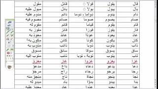 3* الشرح المطول للأمثلة المختلفة ، تكملة التطبيقات على الباب الأول من الثلاثي المجرد image