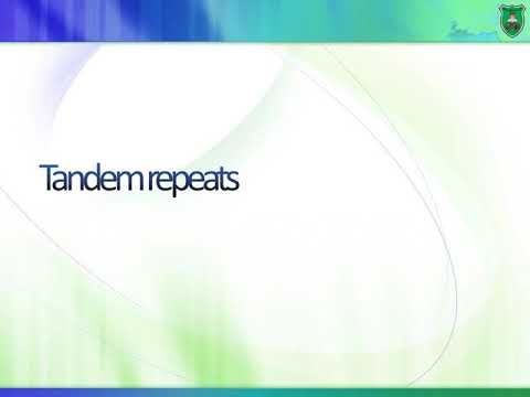 BioM Molecular Biology 2019 2020 part 3 The human genome