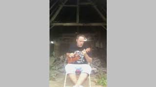 'Fly Me To The Moon' on Ukulele and book update.