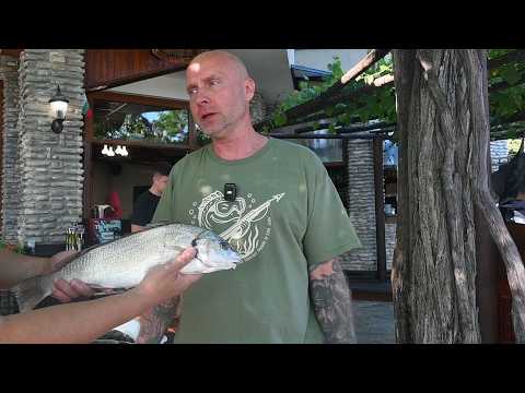 🐟 Рибите на Черно море: Минокоп (скален/каменен лаврак)