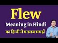 Flew meaning in Hindi | Flew ka kya matlab hota hai | Spoken English Class