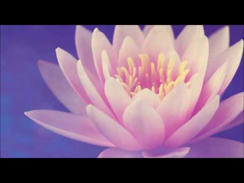 Abraham Hicks ❤️ Do Not Demand Perfection!