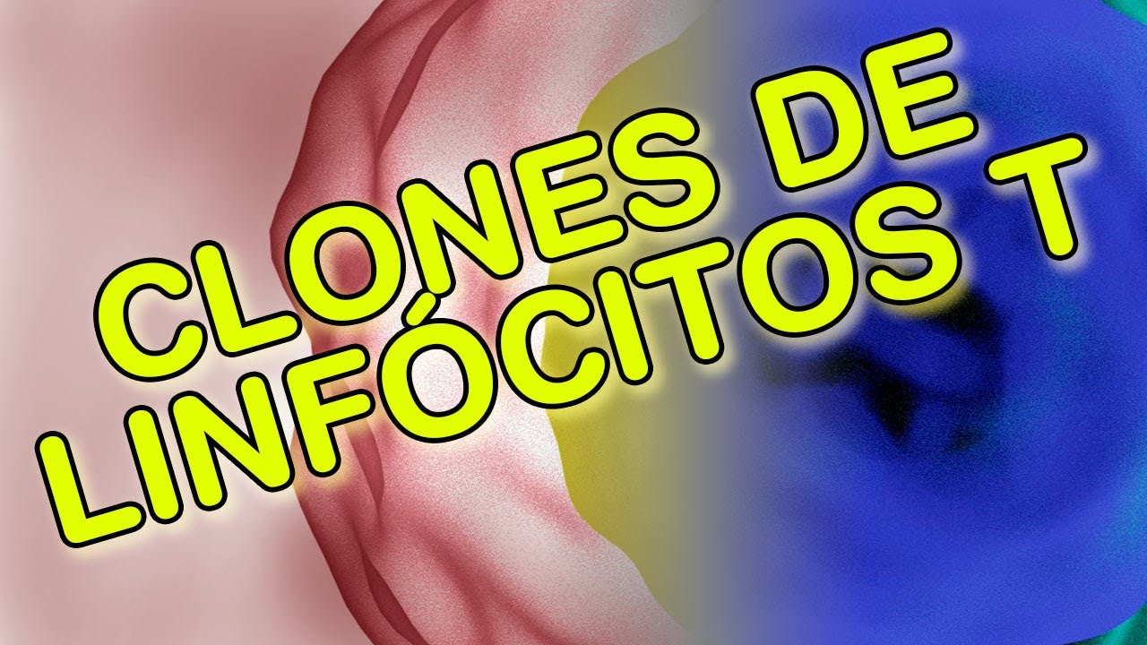 Clones de Linfócitos _ Seleção Clonal