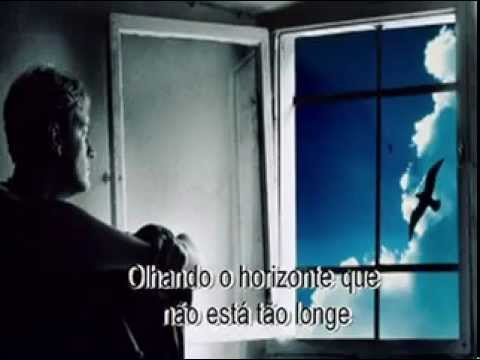 Alma video
