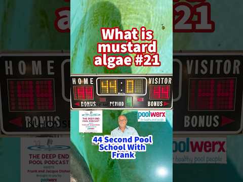 Mustard Algae Explained: What is mustard, yellow, or brown algae? #21