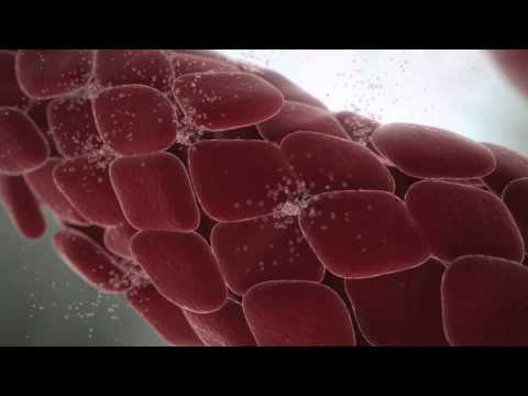De nouveaux médicaments pour lhypertension La musique classique pour le traitement de lhypertension