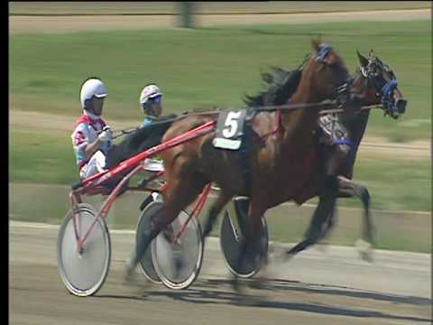 Trotto 19/05/2017 - 1ª corsa