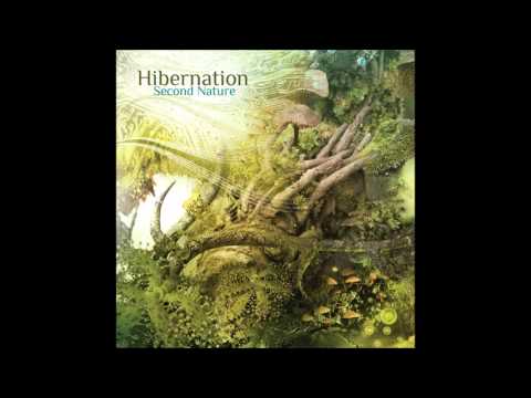 Hibernation- Plastics