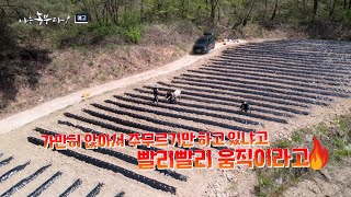 [나는농부다 299회 예고] 딸기 사부 동훈 씨의 '나를 따르라'