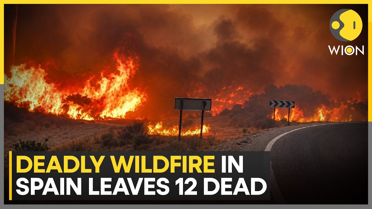 Spain Wildfire Disaster: 12 Killed, 20 Missing As Blaze Sweeps Andalusia |Andalusia Wildfire Tragedy