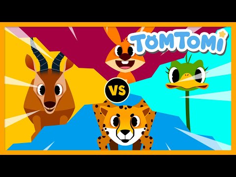 YouTube Thumbnail