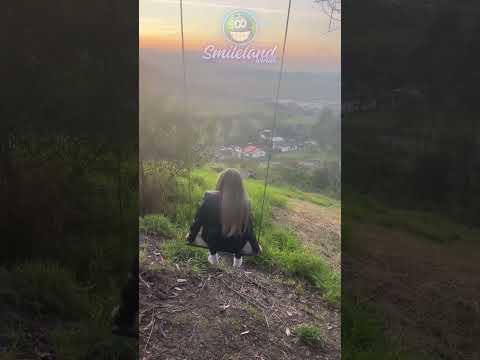 #215 Nice day 😂😂😂 #viral #shorts #fails #funny #failure #wow #jokes2025 #comedy #positive #lol #nice