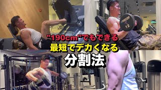 "190cm"でも筋肉がデカくなる分割法  筋トレ
