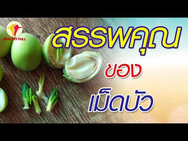 เม็ดบัว ธัญพืชสรรพคุณมากล้น | ประโยชน์ของอาหาร | healthy Full สุขภาพน่ารู้