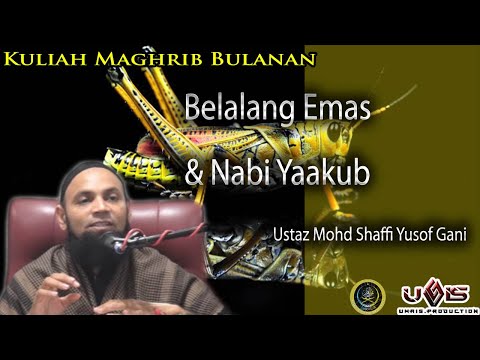 Belalang Emas dan Nabi Yaakub- Ustaz Mohd Shaffi Yusof Gani