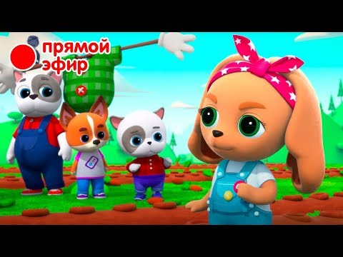 КОШЕЧКИ-СОБАЧКИ🐱  🐶  - Суперпремьера!  Все серии подряд!