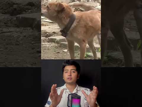 He Thought He Would Never See His Dog Again… But Then This Happened !! 🐶