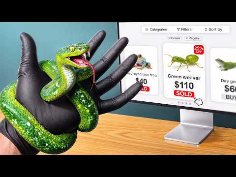 I Bought Every Green Animal Online...